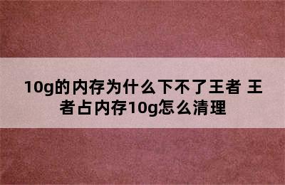 10g的内存为什么下不了王者 王者占内存10g怎么清理